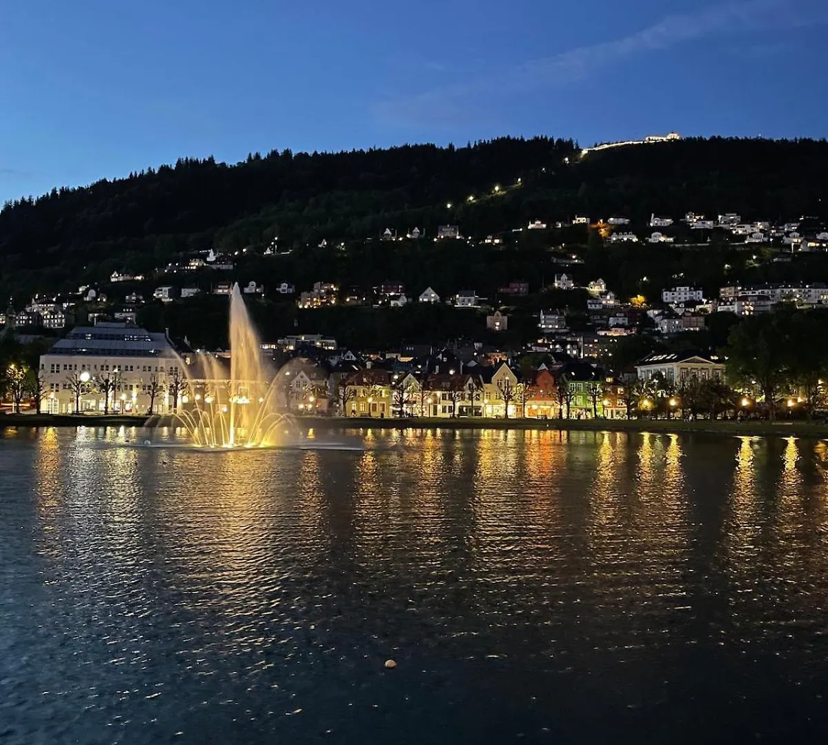 Lovely Apartment With A View, Garden And Parking Bergen